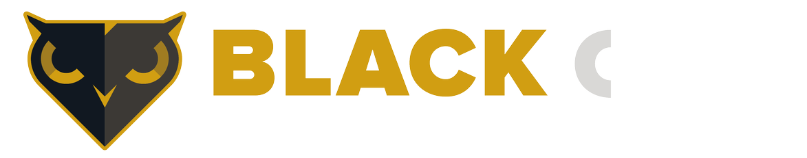 Black Owl Systems